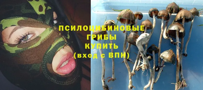 Галлюциногенные грибы Magic Shrooms  Серпухов 